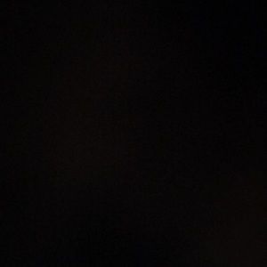 Meet your Posher, Gavin